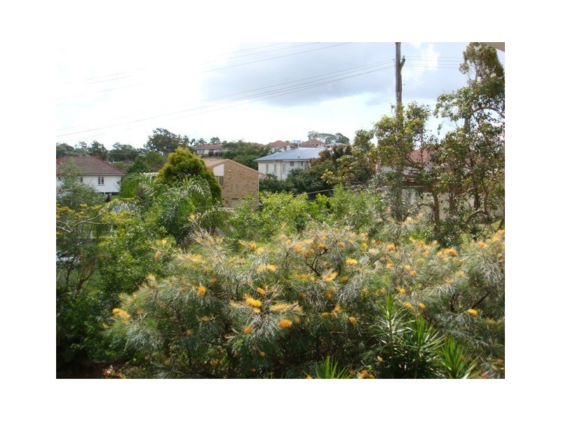 1 Aemilia Avenue, Seven Hills QLD 4170