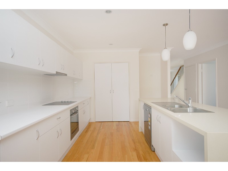 41 Warilda Street, Camp Hill QLD 4152