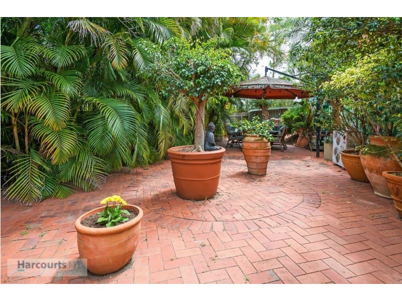 64 Currey Avenue, Moorooka QLD 4105