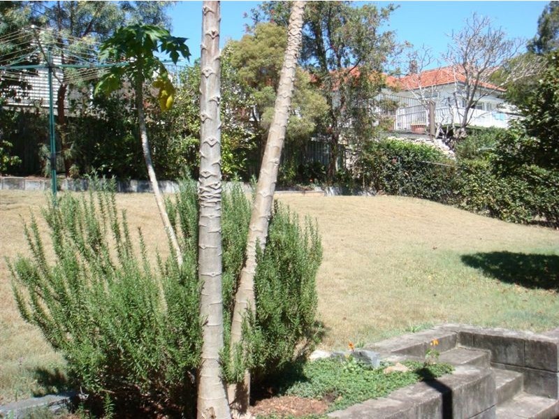 33 Oxley Drive, Holland Park QLD 4121