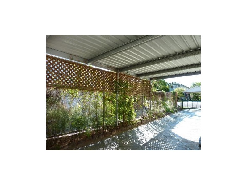 59 Woodhill Ave, Coorparoo QLD 4151