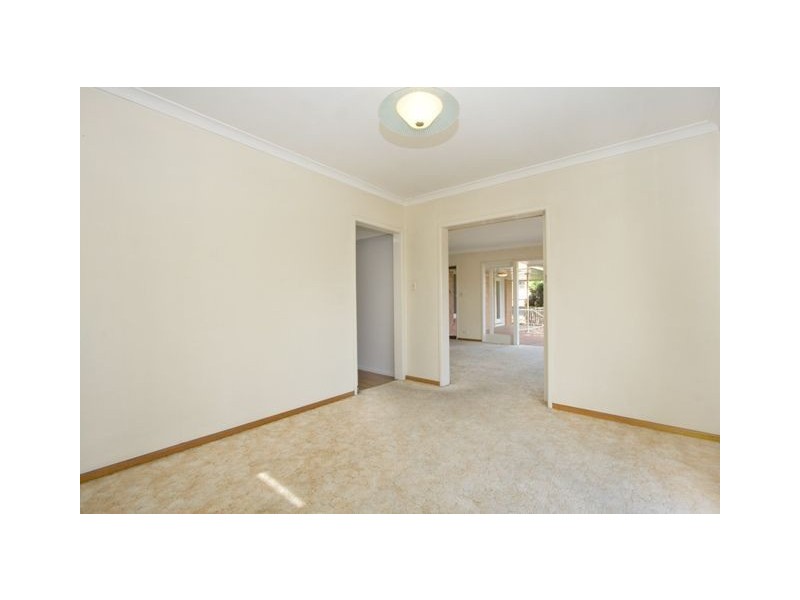 56 Nicklin Street, Coorparoo QLD 4151