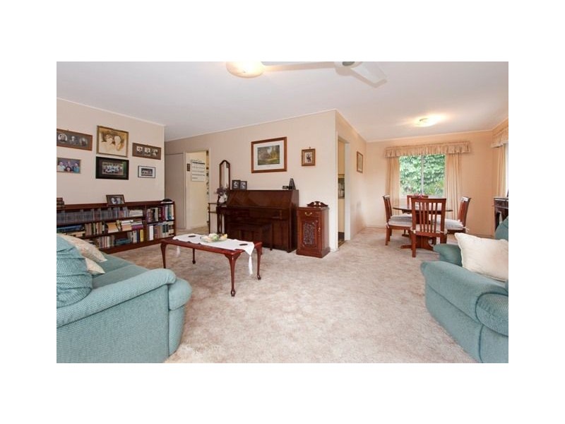 33 Wills Street, Coorparoo QLD 4151