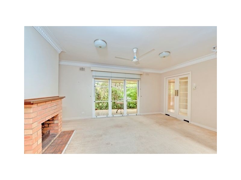 19 Springleigh Street, Coorparoo QLD 4151