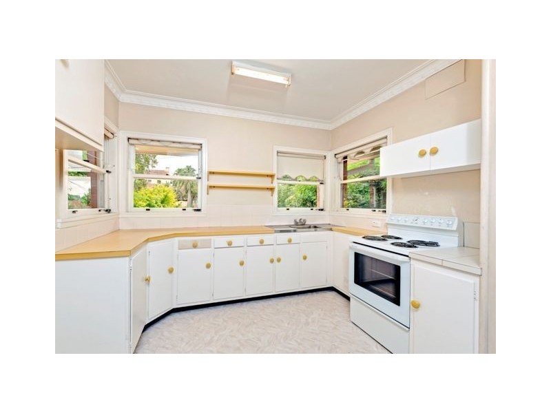 19 Springleigh Street, Coorparoo QLD 4151