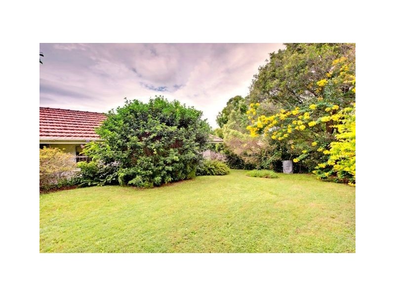 19 Springleigh Street, Coorparoo QLD 4151