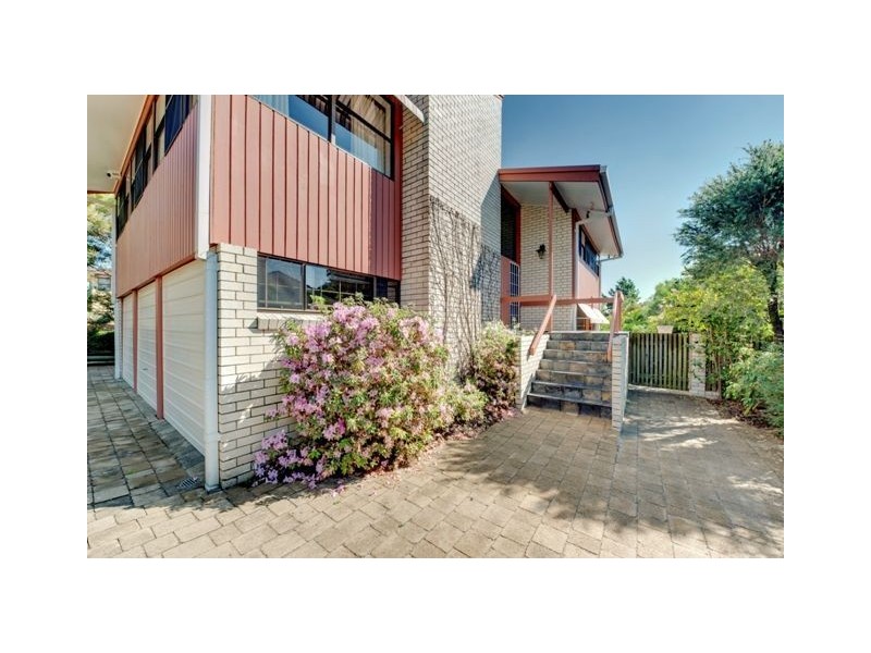 3 Pavo Street, Camp Hill QLD 4152