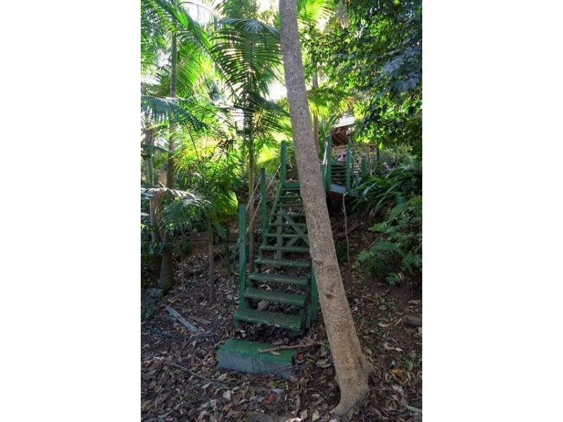 29 Kneale Street, Holland Park West QLD 4121