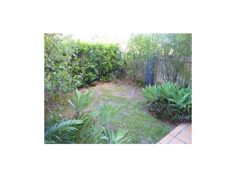 7/49 Shottery Street, Yeronga QLD 4104