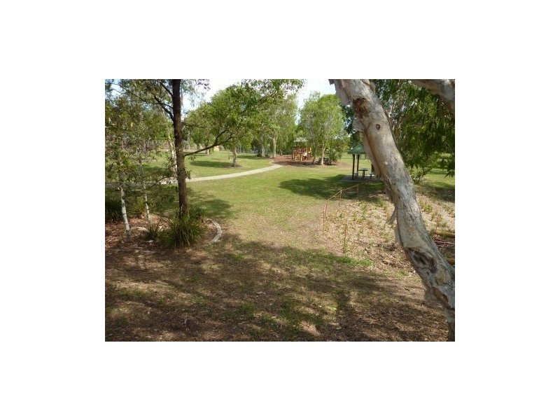 42 Jackson Street, Coorparoo QLD 4151