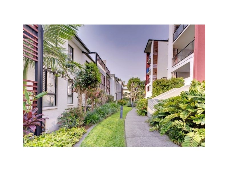 16/15 Kitchener Street, Coorparoo QLD 4151