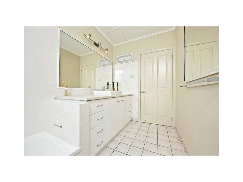 31 Walker Street, Coorparoo QLD 4151