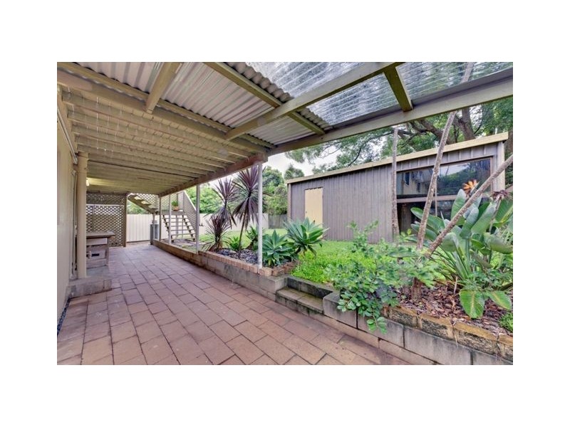 31 Natasha Street, Wynnum West QLD 4178