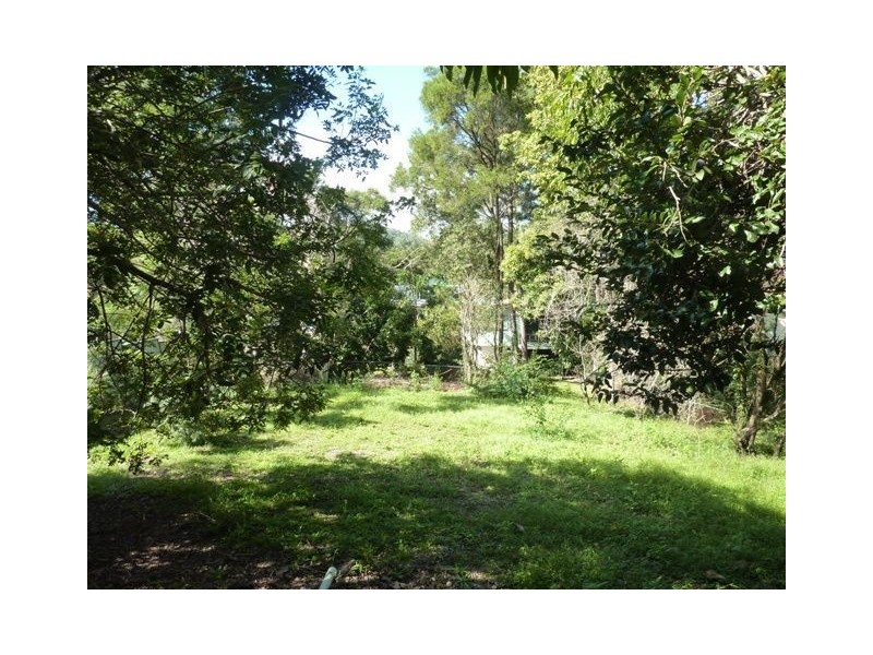 46 Dobbs Street, Holland Park West QLD 4121