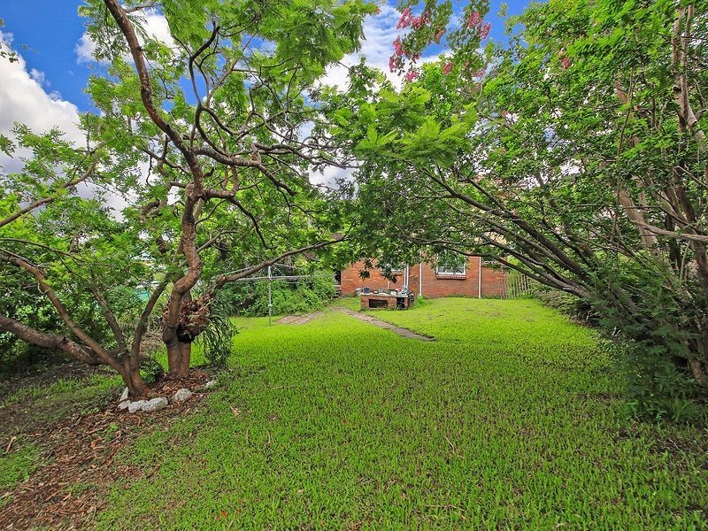 53 Herbert Street, Camp Hill QLD 4152