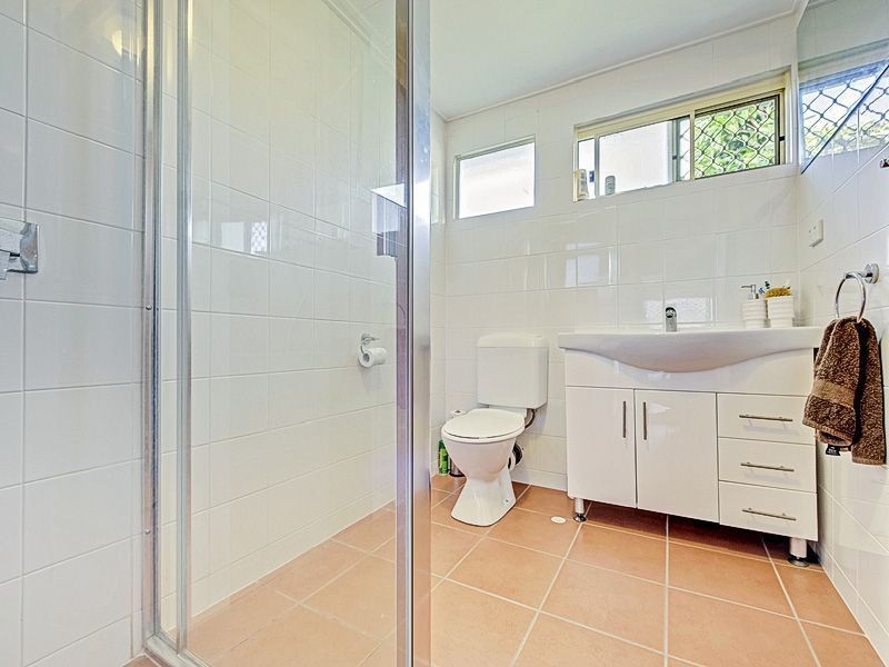 19 Newman Avenue, Camp Hill QLD 4152