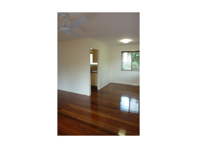 33 Wills Street, Coorparoo QLD 4151