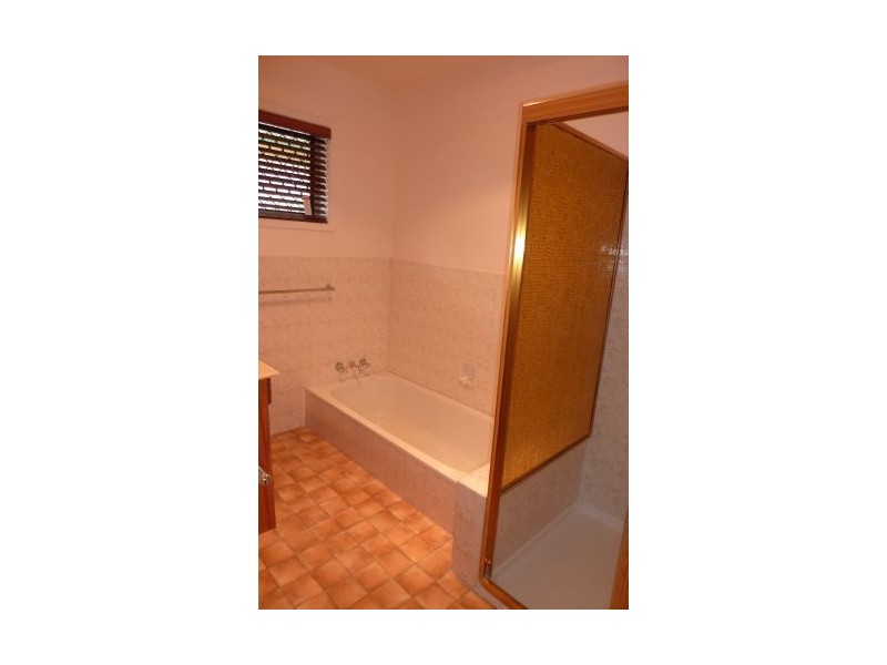 33 Wills Street, Coorparoo QLD 4151