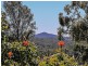 31 Kerstin Court, Rochedale South QLD 4123