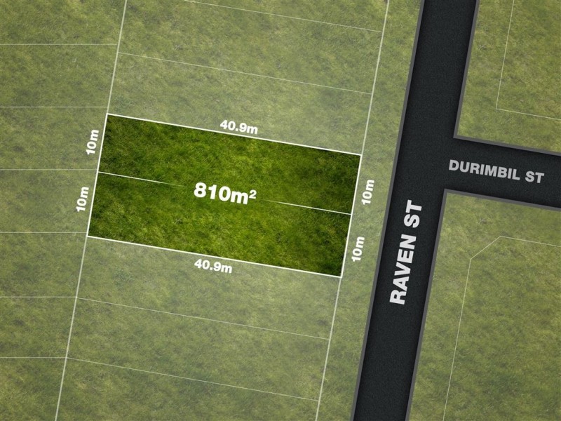 31 Raven Street, Camp Hill QLD 4152