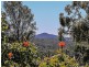 31 Kerstin Court, Rochedale South QLD 4123