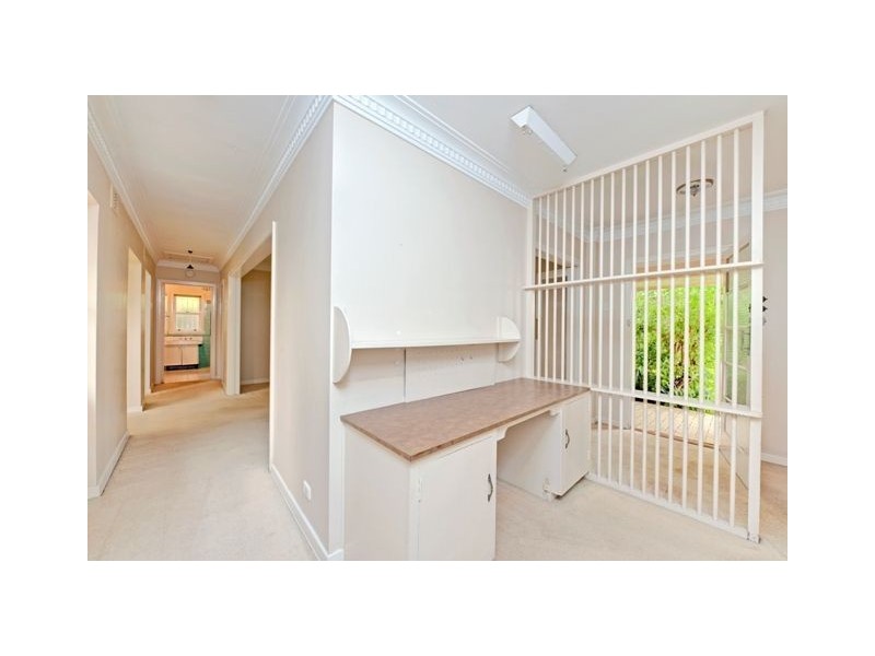 19 Springleigh Street, Coorparoo QLD 4151