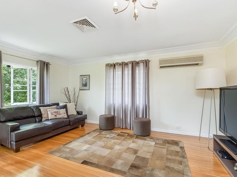 20 Newbolt Street, Holland Park QLD 4121