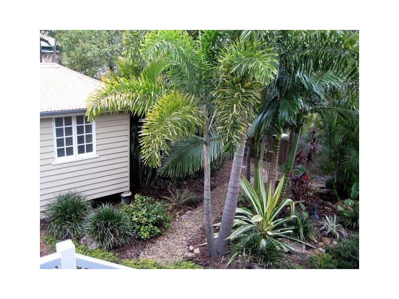 Greenslopes QLD 4120