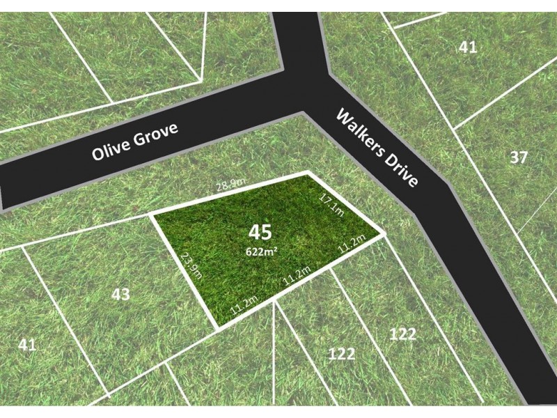 45 Olive Grove, Balmoral QLD 4171