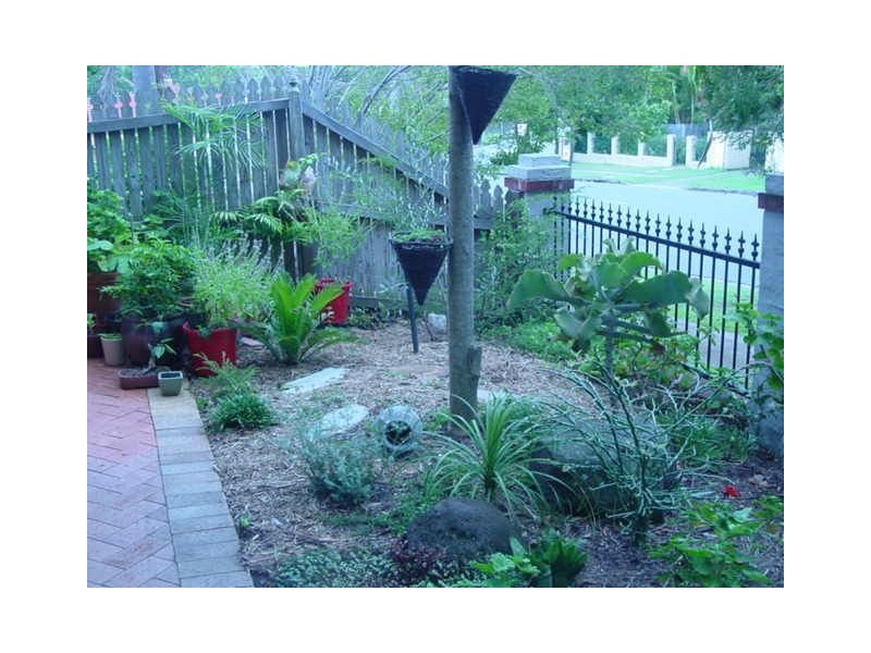 5/12 Newton Street, Coorparoo QLD 4151