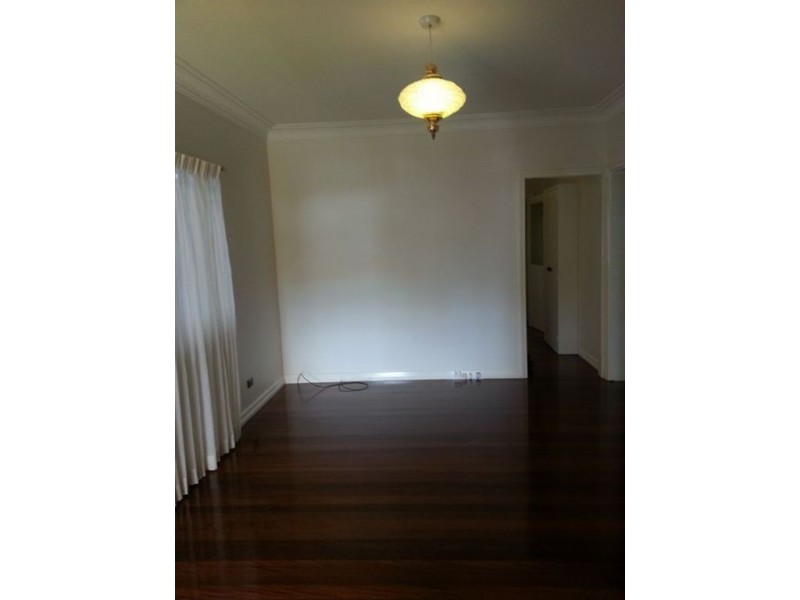 33 Illidge Street, Coorparoo QLD 4151