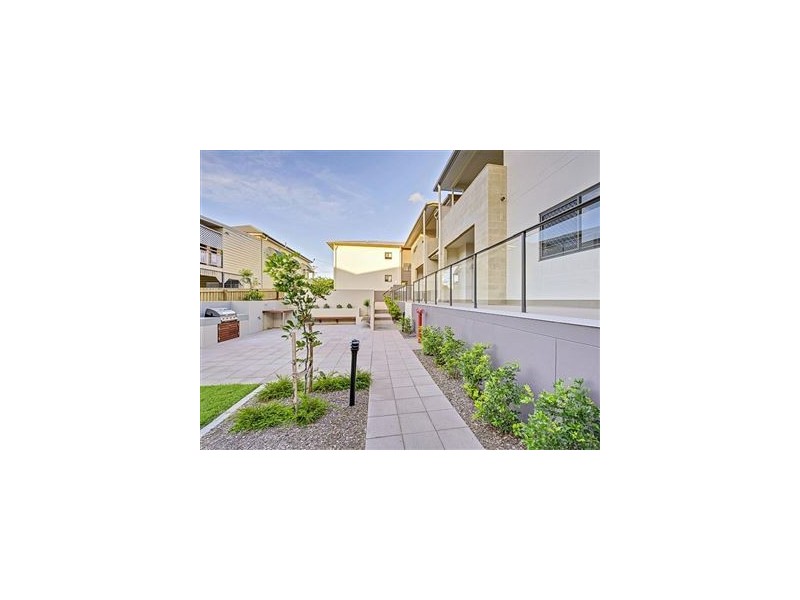 12/71 Dansie Street, Coorparoo QLD 4151