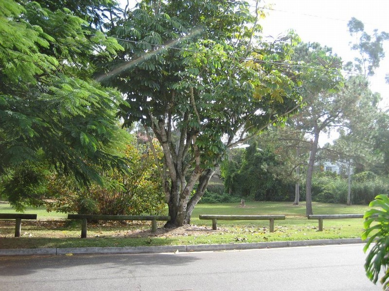 12 McLean Parade, Ashgrove QLD 4060