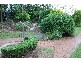 35 Lewin Street, Bardon QLD 4065