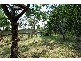 59 Lizzie Street, Bardon QLD 4065