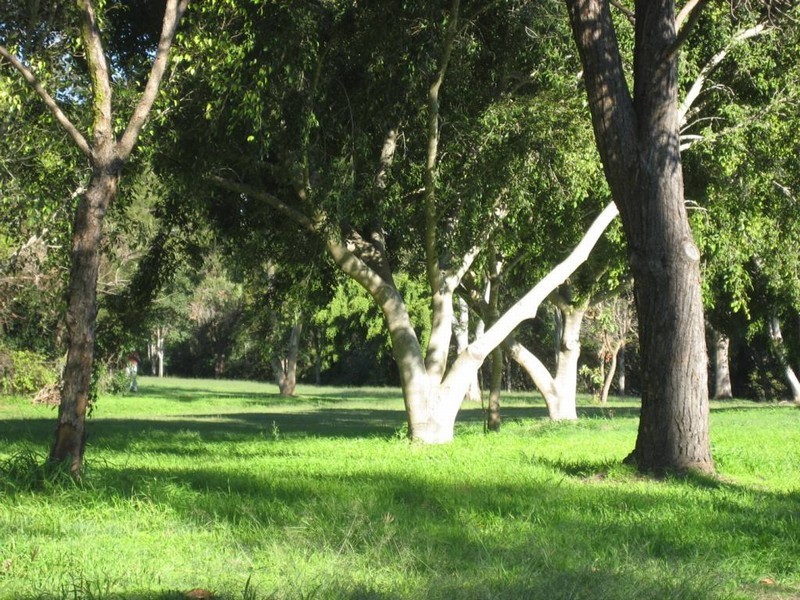 32 Langley Avenue, Wilston QLD 4051