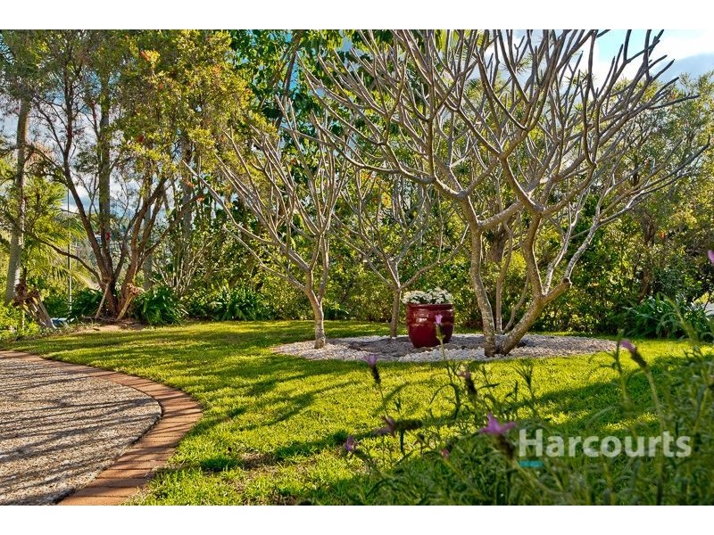 14 Wattletree Place, The Gap QLD 4061