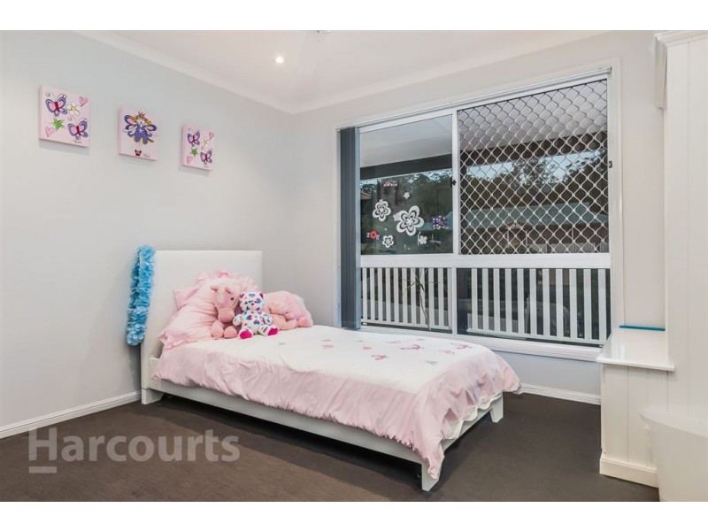 23 Blackwood Drive, Arana Hills QLD 4054