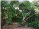 21 Theale Terrace, Ashgrove QLD 4060