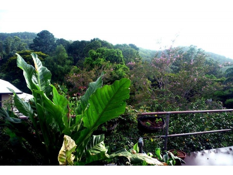 911A Waterworks Rd, The Gap QLD 4061