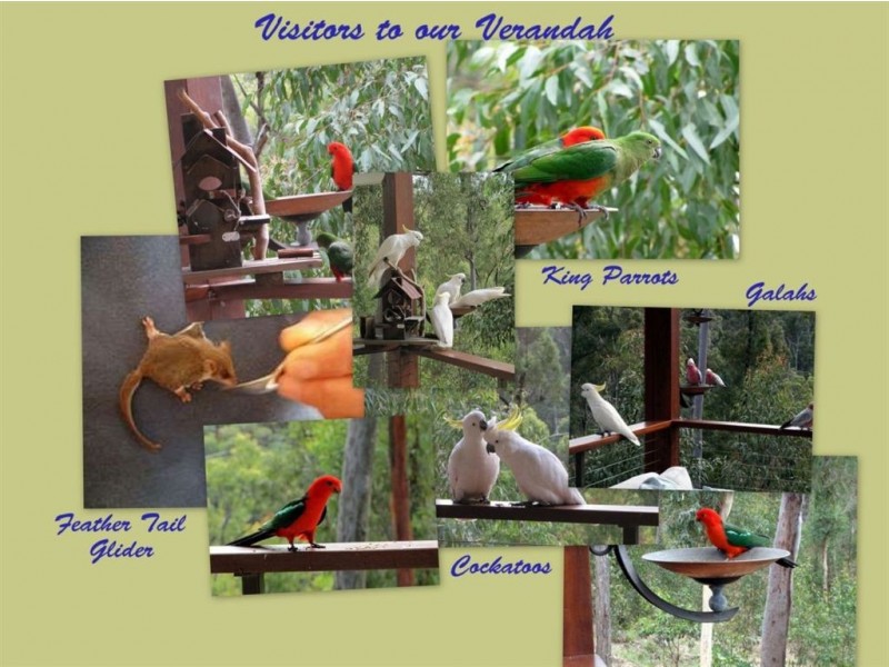 165 Highwood Road, The Gap QLD 4061