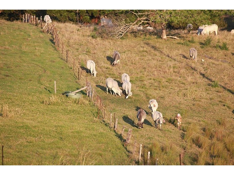 80 Birnam Street, Beaudesert QLD 4285