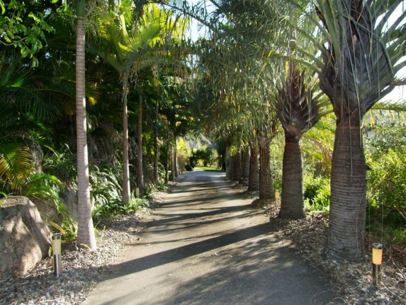 7 Phoenix Close, The Gap QLD 4061