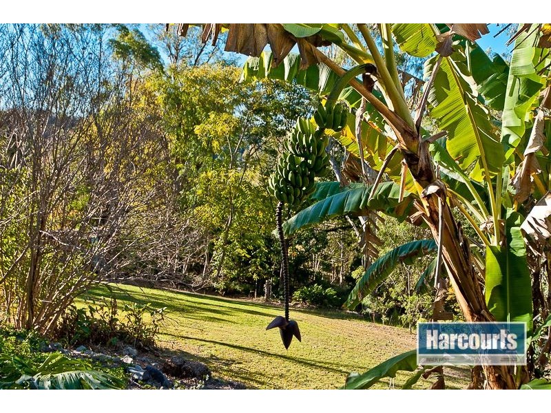 45 Mt Nebo Road, The Gap QLD 4061