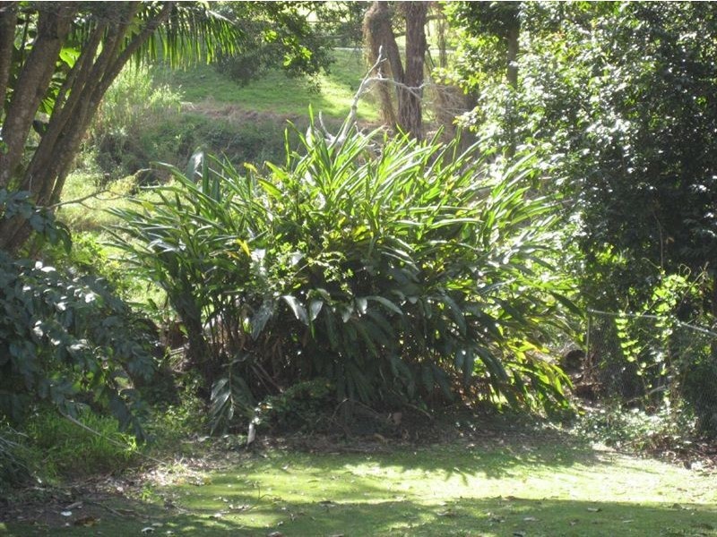 52 McLean Parade, Ashgrove QLD 4060