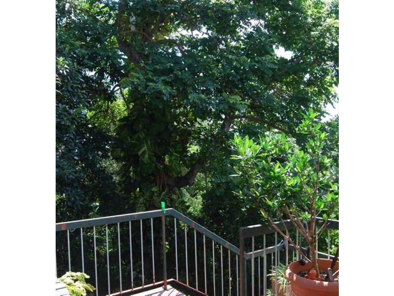 35 Woongarra Street, The Gap QLD 4061