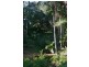 Lot 2,1913 Mt Nebo Road, Mount Nebo QLD 4520
