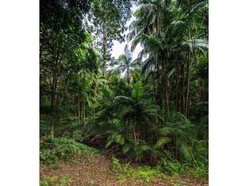 Lot 3,1913 Mt Nebo Road, Mount Nebo QLD 4520