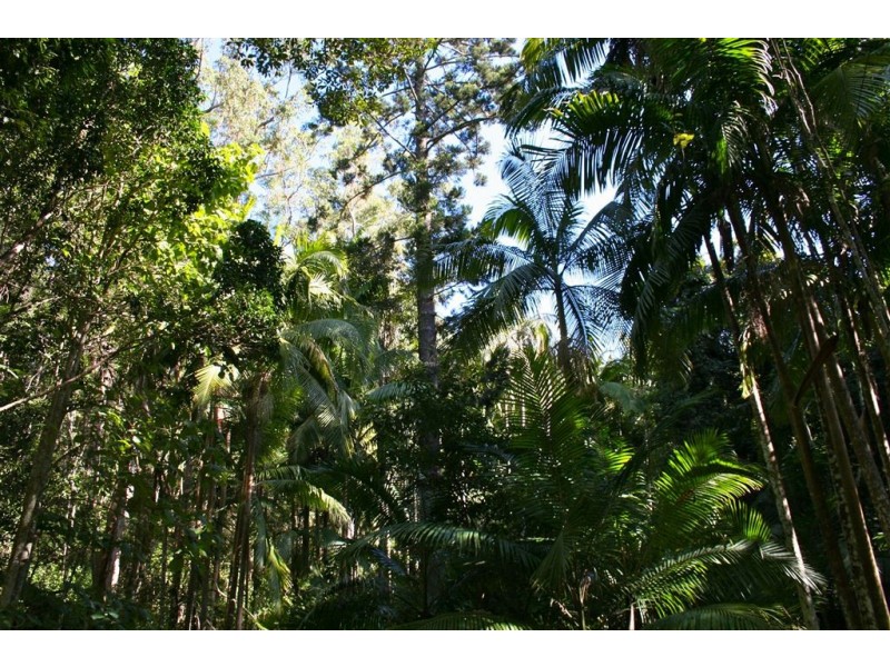 Lot 3,1913 Mt Nebo Road, Mount Nebo QLD 4520