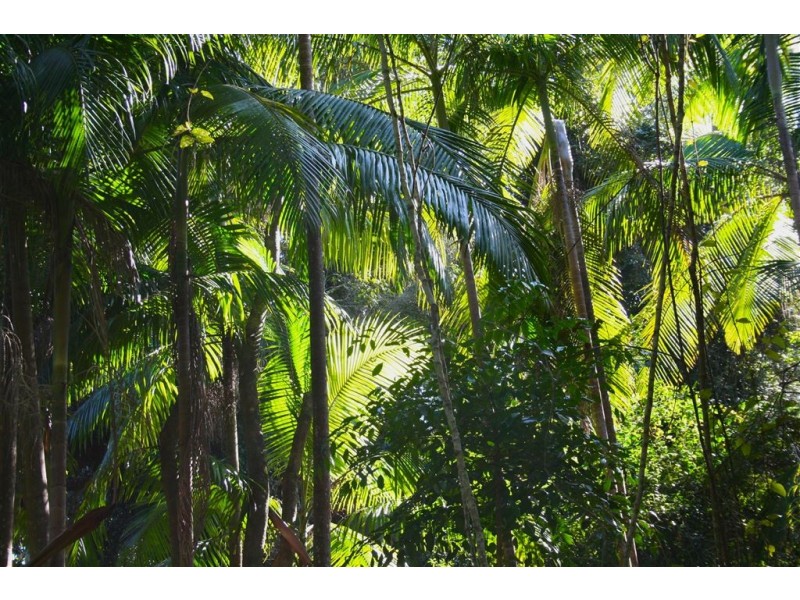 Lot 3,1913 Mt Nebo Road, Mount Nebo QLD 4520